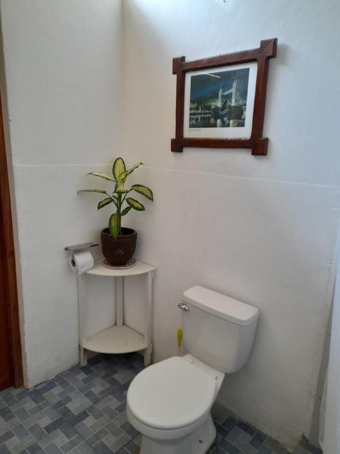 Casa Yoly Hostel グラナダ エクステリア 写真