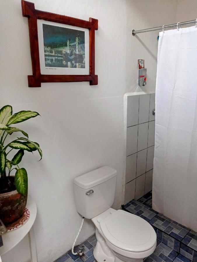 Casa Yoly Hostel グラナダ エクステリア 写真