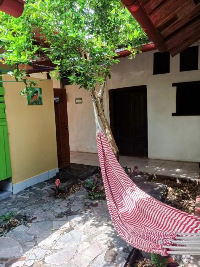 Casa Yoly Hostel グラナダ エクステリア 写真